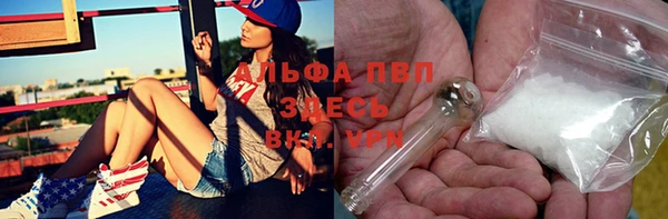 мяу мяу мука Абаза