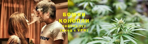 мяу мяу мука Абаза