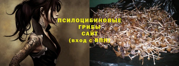 мяу мяу мука Абаза