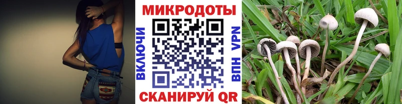 Галлюциногенные грибы MAGIC MUSHROOMS цена Абаза